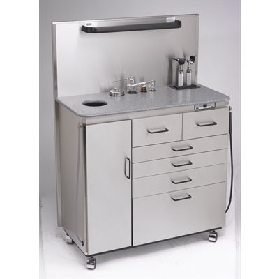 Cabinet de Traitement DeLuxe, Inox, Otoscopes WA, Rechargeables Cabinet de Traitement DeLuxe, Inox, Otoscopes WA, Rechargeables
