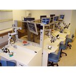 Temporal Bone Lab 4-Station